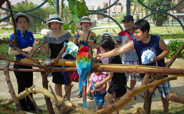 River Safari Nam Hội An - vườn thú trên sông đầu tiên và lớn nhất Việt Nam 11
