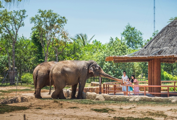 River Safari Nam Hội An - vườn thú trên sông đầu tiên và lớn nhất Việt Nam 12