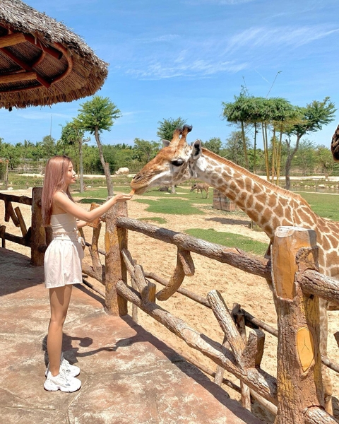 River Safari Nam Hội An - vườn thú trên sông đầu tiên và lớn nhất Việt Nam 13