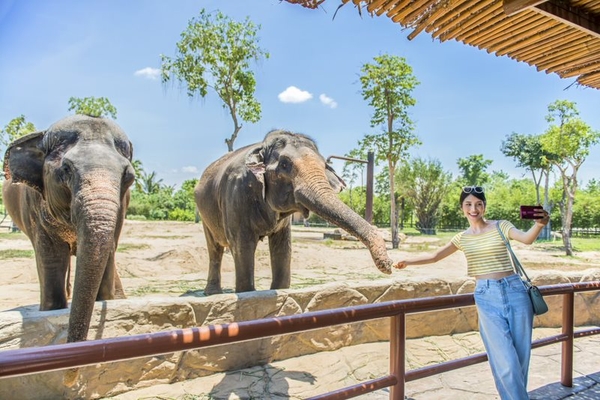 River Safari Nam Hội An - vườn thú trên sông đầu tiên và lớn nhất Việt Nam 14