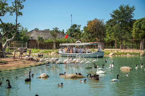 River Safari Nam Hội An - vườn thú trên sông đầu tiên và lớn nhất Việt Nam 2