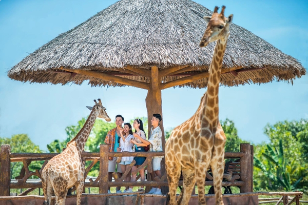 River Safari Nam Hội An - vườn thú trên sông đầu tiên và lớn nhất Việt Nam 5