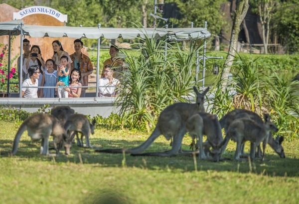 River Safari Nam Hội An - vườn thú trên sông đầu tiên và lớn nhất Việt Nam 6