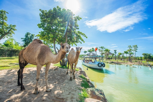 Du lịch Đà Nẵng Hội An 3 ngày 2 đêm, 4 ngày 3 đêm thì nên đi đâu? 8