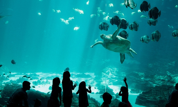 Kinh nghiệm vui chơi Vinwonders Nha Trang từ A - Z 6