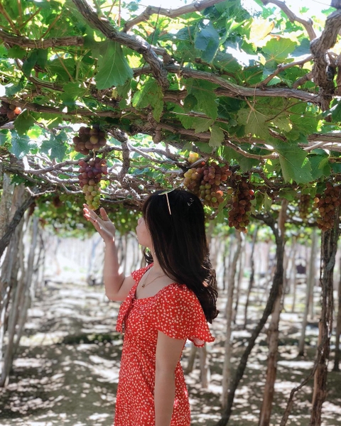 Những trải nghiệm không thể bỏ lỡ khi du lịch Ninh Thuận 2