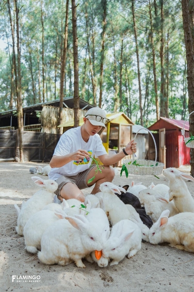 vườn thú Hohoo Zoo Flamingo Đại Lải 01 vườn thú Hohoo Zoo Flamingo Đại Lải 01