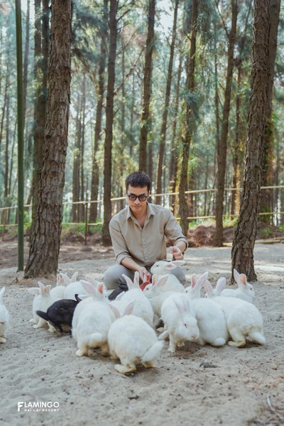 vườn thú Hohoo Zoo Flamingo Đại Lải vườn thú Hohoo Zoo Flamingo Đại Lải