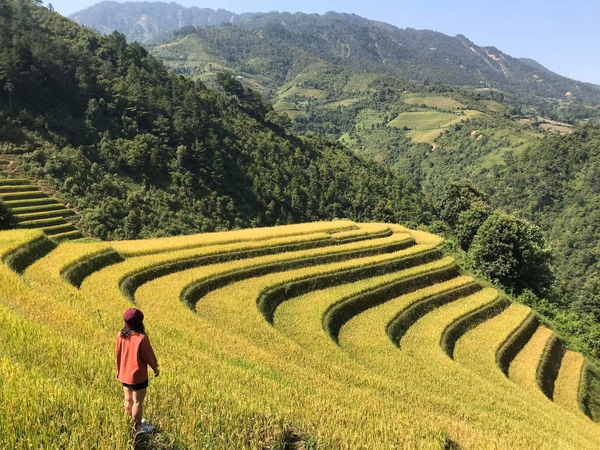 du lịch Mù Cang Chải 2 ngày 1 đêm