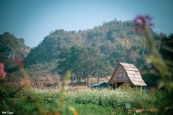 tour du lịch mai châu mộc châu