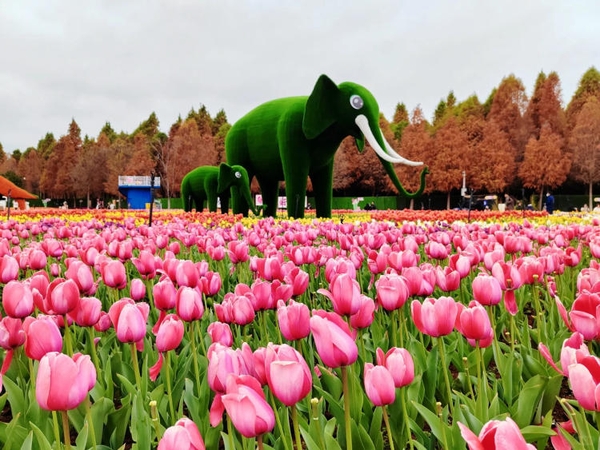 Công viên Lao Ngư Hà