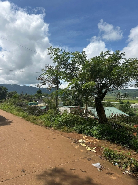 Bán đất Đơn Dương tại xã Pró