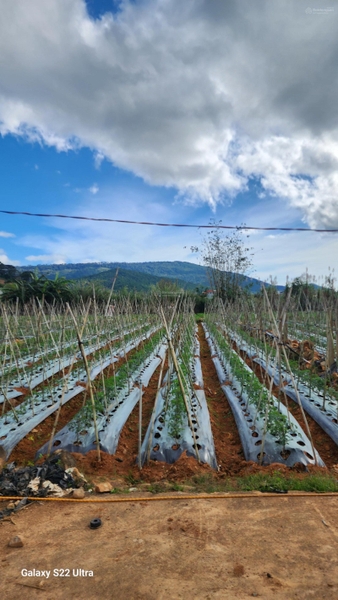 Mua bán đất Đức Trọng đường 20 giá tốt