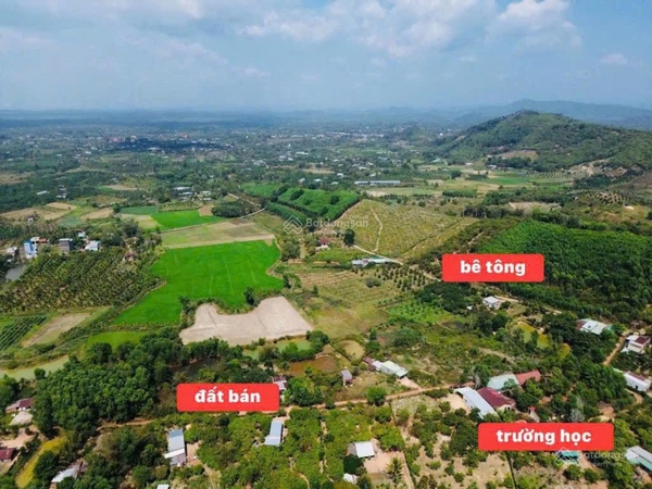 Bán đất Di Linh gần chợ