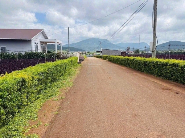 Mua bán đất Đơn Dương tại xã Đạ Ròn