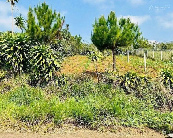 Mua bán đất Di Linh sổ hồng riêng