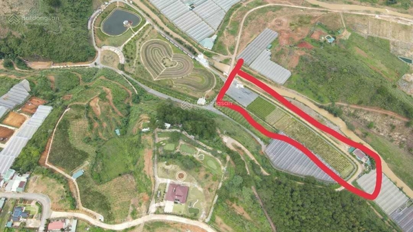 Mua bán đất Lạc Dương đường Đạ Nghịt