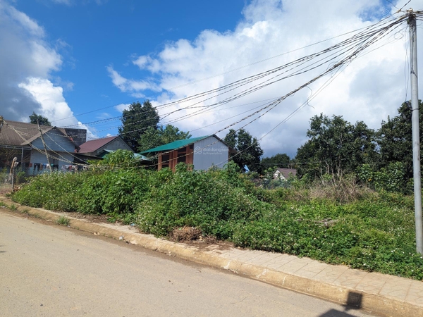 Mua bán đất Lạc Dương đường quốc lộ 20