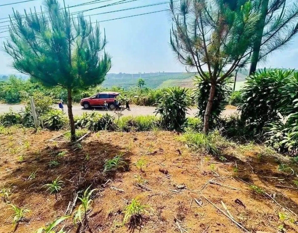 Mua bán đất Di Linh sổ hồng riêng