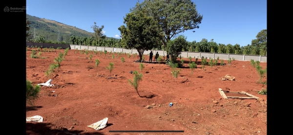 Mua bán đất Di Linh xã Gia Hiệp