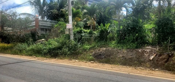 Mua bán đất Đơn Đường DH413