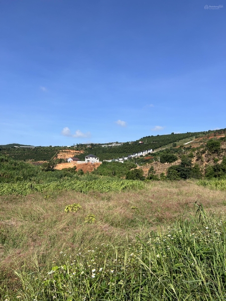 Bán đất Lâm Hà đường rộng 8m