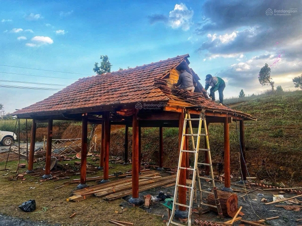 Bán đất tại xã Đambri, Bảo Lộc. Tặng ngay nhà gỗ khi mua