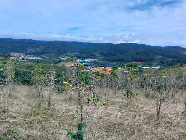 Bán đất nền Lạc Dương tại xã Đạ Sar có vườn