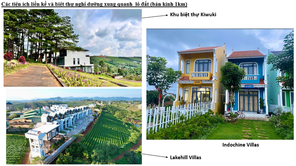 Bán đất Bảo Lâm đường số 21