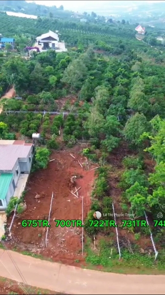 Mua bán đất Lâm Hà tại xã Mê Linh