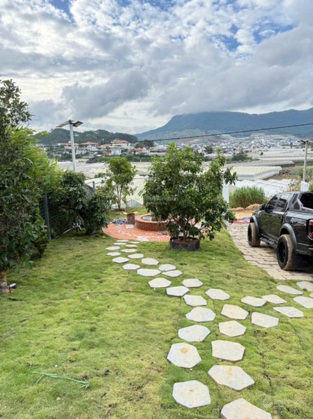 Mua bán đất Đà Lạt tại Phước Thành