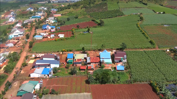 Mua bán đất Đơn Đường DH413