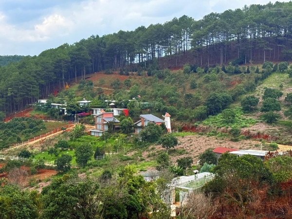 Đất Ven Đà Lạt View Nghỉ Dưỡng giá tốt