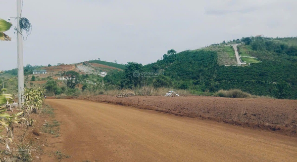 Bán đất Bảo Lâm xã Lộc Tân hơn 700m2