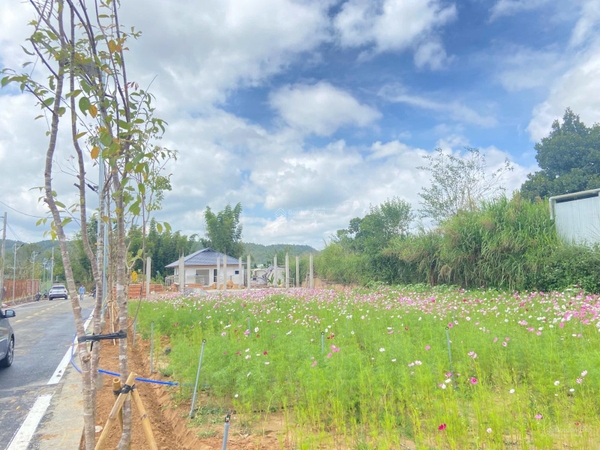 Bán đất Đức Trọng gần Phú Hội