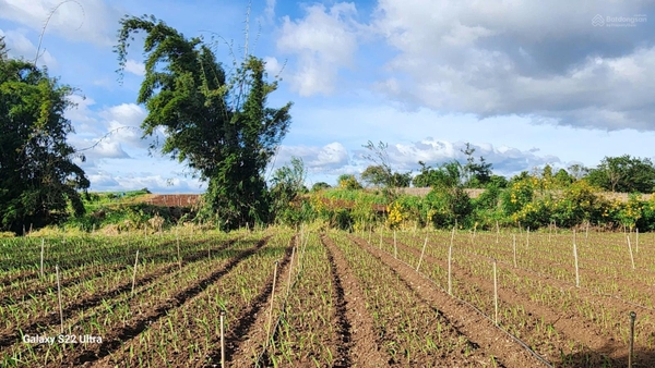 Mua bán đất Đức TRọng diện tích 1300m2