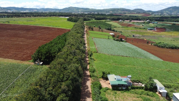 Mua bán đất Đơn Dương tại xã Tu Tra