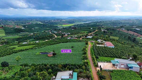 Bán đất Lâm Hà xã Hoài Đức giá tốt