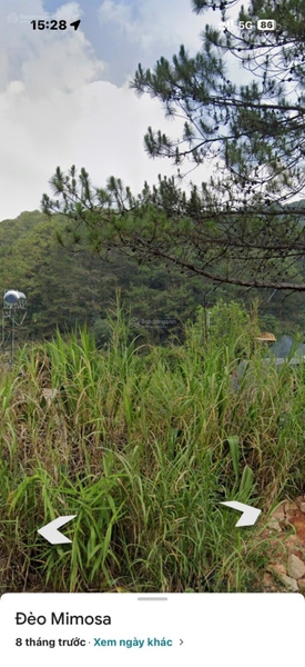 Mua bán đất Đà Lạt tại Bùi Thị Xuân