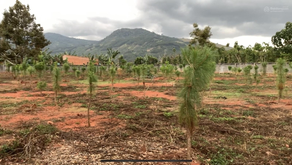 Mua bán đất Di Linh xã Gia Hiệp