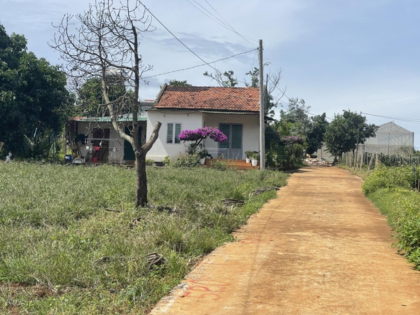 Đất Nền Đà Lạt Gần Trung Tâm