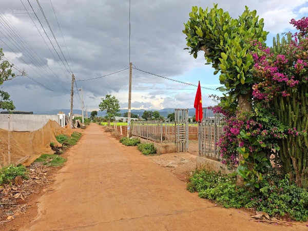 Bán đất Đơn Dương gần đường 27