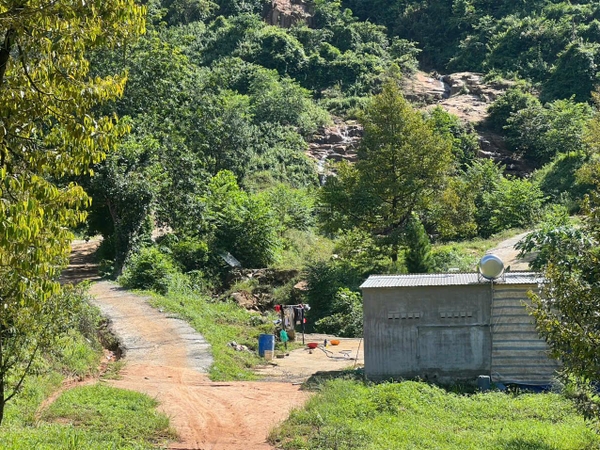 Bán đất Đam Đri có vườn sầu riêng