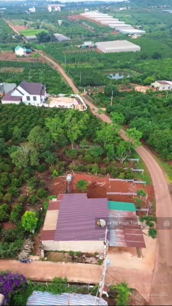 Mua bán đất Lâm Hà tại xã Mê Linh