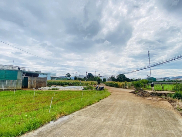 Bán đất nền Đức Trọng diện tích 150m2