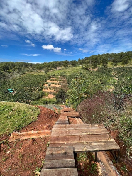 Mua bán đất Đà Lạt tại xã Xuân Trường