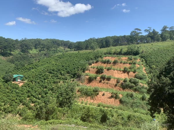 Mua bán đất Đà Lạt tại xã Xuân Trường