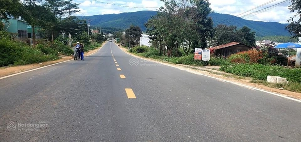 Mua bán đất Đơn Đường DH413