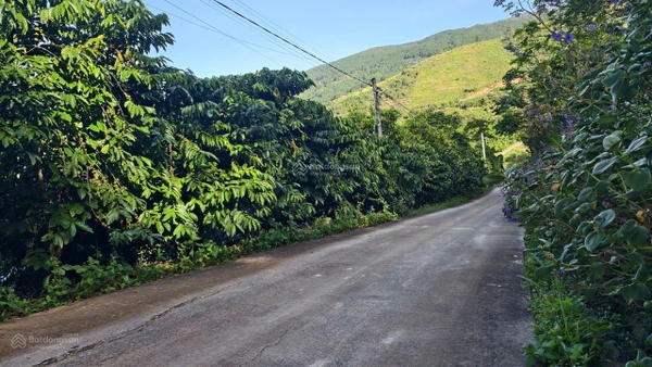 Đất nền Lâm Hà xã Đông Thanh giá tốt