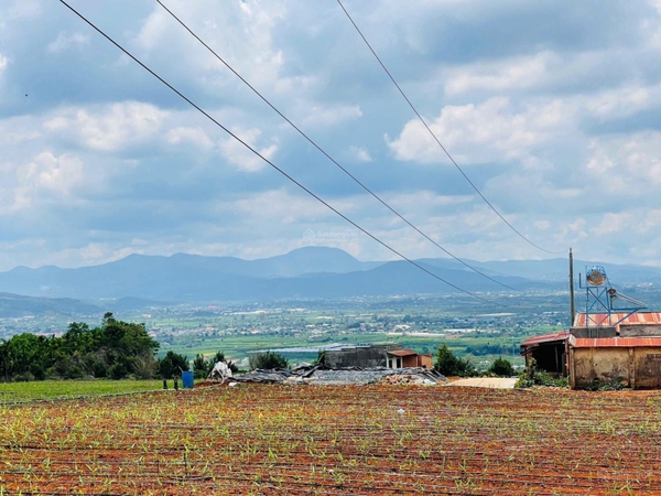 Bán đất Lâm Hà xã Tân Văn giá 350tr